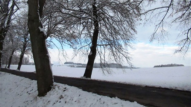 Alej u Velkých Opatovic na Blanensku sice byla vyhlášena tou nejkrásnější v zemi, kvůli rozšíření silnice však půjde víc než půlka jejích stromů k zemi.