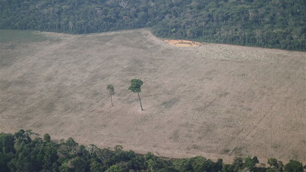 Odlesňování amazonského pralesa v jeho brazilské části u města Porto Velho (14. srpna 2020)
