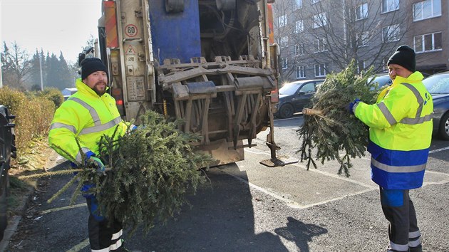 Svoz vánočních stromků v Moravskoslezském kraji vrcholí. Desítky jich včera naložili a odvezli například popeláři v Třinci.