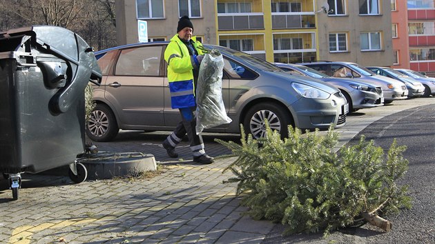 Svoz vánočních stromků v Moravskoslezském kraji vrcholí. Desítky jich včera naložili a odvezli například popeláři v Třinci na sídlišti v Sosnové ulici.