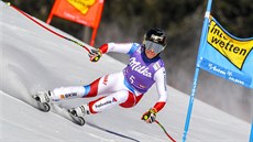 výcarka Lara Gutová-Behramiová na trati super-G ve Svatém Antonu