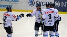 Hokejisté Liberce se radují ze vstřelené branky v zápase proti Plzni.