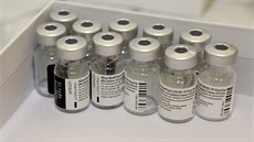 Vakcína proti onemocnění covid-19 ve Fakultní nemocnici v Plzni (7. 1. 2021)