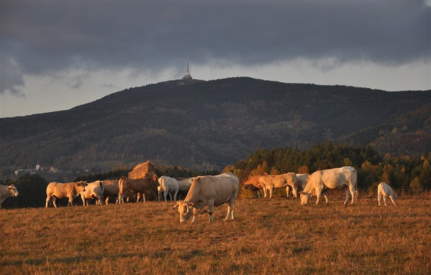 Biofarmáři se obávají, že je drahé energie položí. Příděl dotací je nejistý