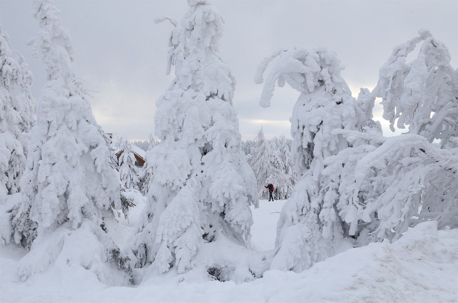Na přelomu roku přijde zima. Na horách hrozí sněhové jazyky a závěje