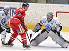 Plzeský branká Dominik Frodl vyhlíí puk v zápase s hokejisty Olomouce.