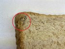 Polský toustový chléb, ped ním varuje Státní zemdlská a potravináská...