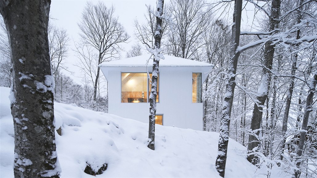 Architekti rodině předložili minimalistický koncept rekreační vilky se stanovou...