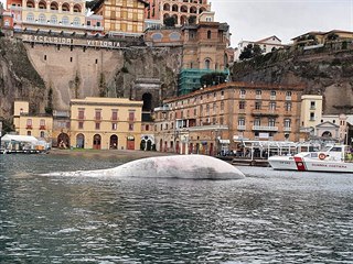 Italská pobřežní stráž u přístavu Sorrento nedaleko Neapole našla tělo...