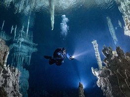 Potáp Petr Polách se fotografování pod vodou vnuje od roku 2006. Pi...