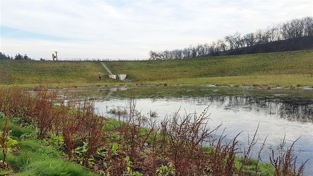 Dubenec na Královédvorsku mají před velkou vodou ochránit zasakovací pásy, biokoridory a poldry.
