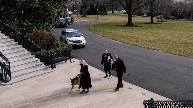 Do Bílého domu dorazili Bidenovi němečtí ovčáci Champ a Major. (25. ledna 2021)
