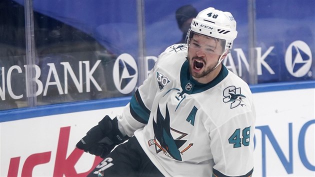 Tom Hertl ze San Jose se raduje z vtznho glu.