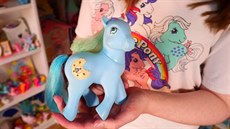 Oblíbený poník sb�ratelky Beatrice Saltové