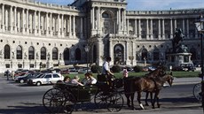 Víde, Hoffburg, Národní knihovna, Umlecké a historické muzeum