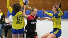 Momentka z házenká�ského utkání Plzn� proti Písku.