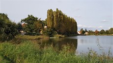 Beh Litoveckého rybníka zdobí topoly.
