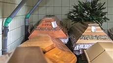 Poté, co antibiotika podle profesora Jana Zrzavého vy�e�ila kdysi nej�ast�j�í...