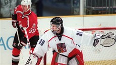 Dominik Haek v eské brance bhem olympiády v Naganu, za ním Wayne Gretzky.