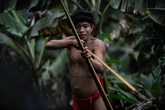 Písluník domorodého kmene Yanomami ve vesnici Irotatheri v brazilském stát...
