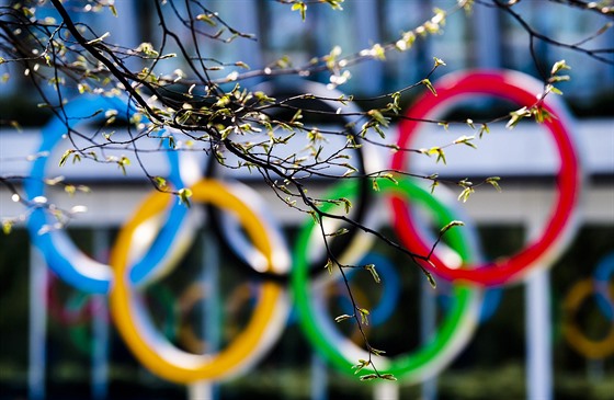 Olympijské kruhy u vstupu na editelství Mezinárodního olympijského výboru v...