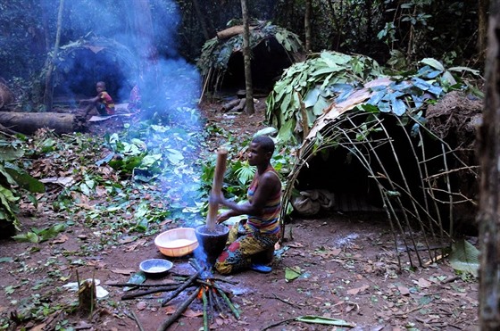 Pygmejtí lovci-sbrai v pralese rovníkové Afriky. Práv na základ svdectví...