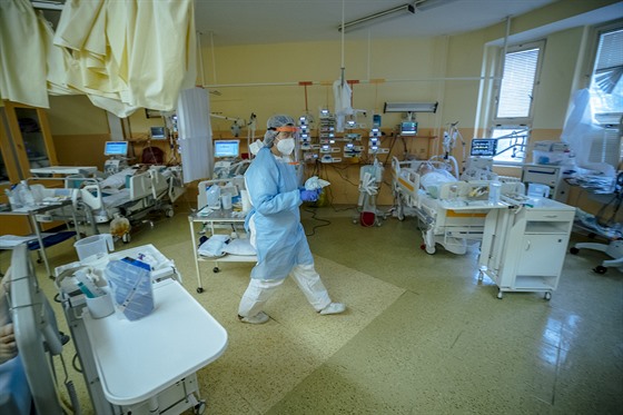 Péče o covidové pacienty v sokolovské nemocnici.