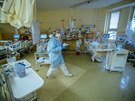 PRO REPORTÁ: Nemocnice Sokolov, covid-19, MOJIP, Interna, personál.