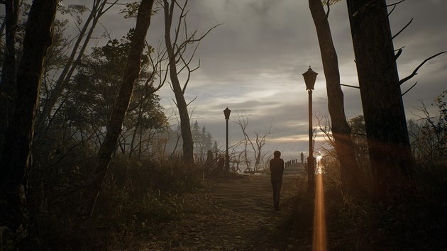 The Medium The Medium