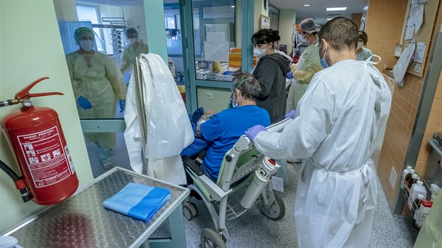PRO REPORT: Nemocnice Sokolov, covid-19, MOJIP, Interna, personl.
