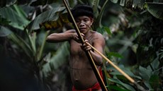 Písluník domorodého kmene Yanomami ve vesnici Irotatheri v brazilském stát...