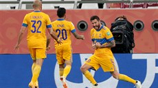 André Peirre Gignac z Tigres se raduje z gólu, který dal v semifinále...