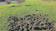 Na ji�áku �ádila prasata