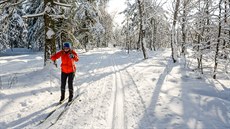 Kru�nohorská b�ka�ská magistrála u Tisé