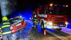 idi u Netebic vyjel ze silnice a narazil do stromu. Na míst zemel.