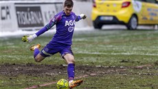 Teplický branká� Jan �tvrte�ka.