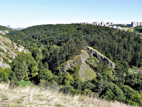 Pohled na Dalejský háj z hrany Butovického hradiště