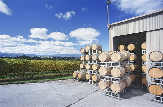Víno uložené v sudech na vinici v údolí Yarra v australské Victorii