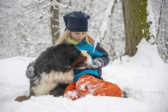 Děti i psi hry na sněhu milují. Pokud je čistý, nevadí ani, když pes nějaký...