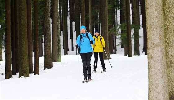 Běžkaři si mohou u Vysočina Areny vyzkoušet 1,2 kilometru dlouhý úsek...