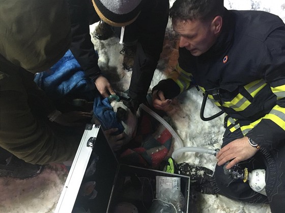 Jeden ze psů se nadýchal nebezpečných zplodin, hasiči mu museli dodat kyslík.