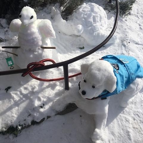 Sněhová zvířátka před Chovatelskými potřebami na Praze 11. (12. února 2021)