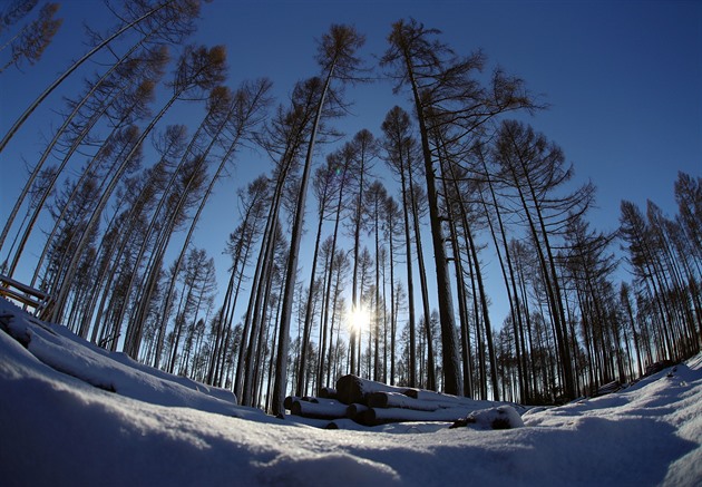 V pátek hrozí náledí a napadne první sníh, varují meteorologové