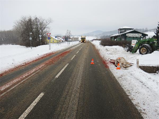 Kon vbhli do cesty autobusm i autu u Vrchlabí. (16. února 2021)