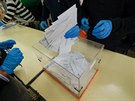 Volební pracovníci poítají hlasovací lístky ve volební místnosti ve panlské...