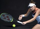 Markéta Vondrouová se soustedí na úder v osmifinále Australian Open.