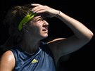 Karolína Muchová ve tvrtfinále Australian Open