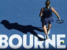 Karolína Muchová se pipravuje na podání v semifinále Australian Open.
