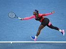 Amerianka Serena Williamsová bhem tvrtfinále Australian Open.