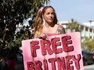 Fanouci Britney Spears podpoili zpvaku v boji proti opatrovnictví jejího...